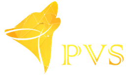 PVS Solution