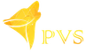 PVS Solution